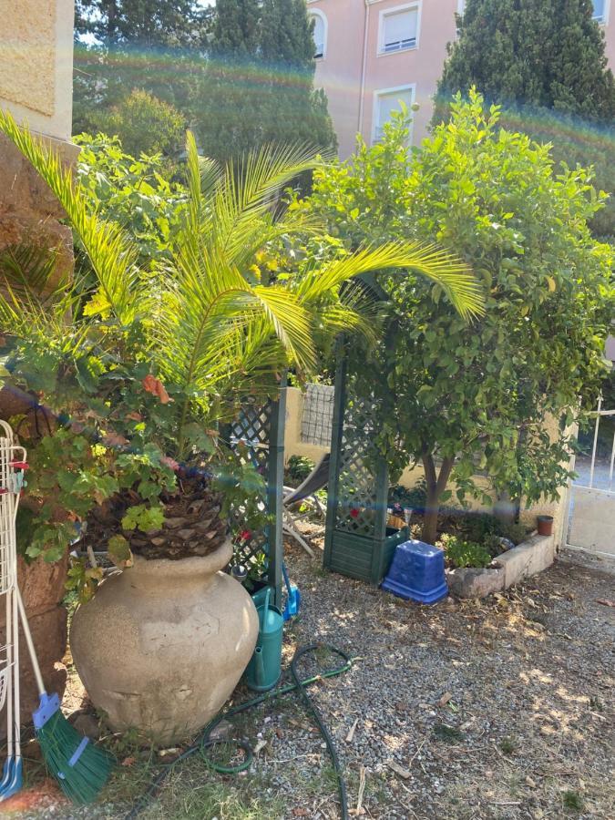 Jardin D'Eden Saint-Raphael (Var) Exterior foto